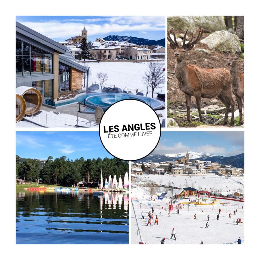 Le Petit Ours & Le Petit Cerf - Studios Vue Lac & Montagnes Les Angles  Exterior photo